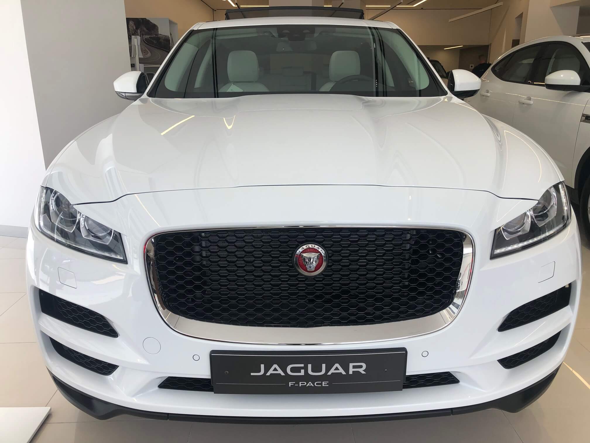 רכבים למכירה יד ראשונה השכרת רכב בארץ בחו ל